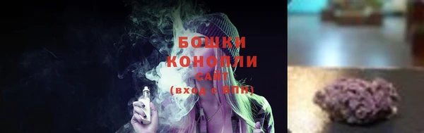 сатива Мегион