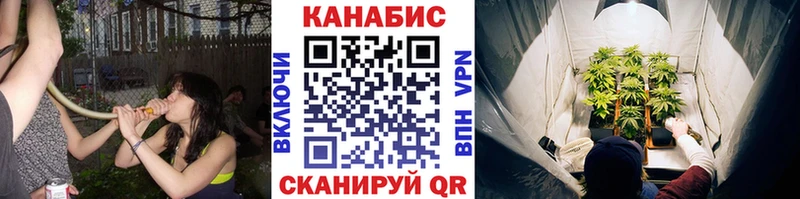 Бошки марихуана Bruce Banner  KRAKEN как войти  Новопавловск 